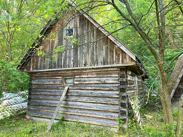 Дом в деревне Антипино