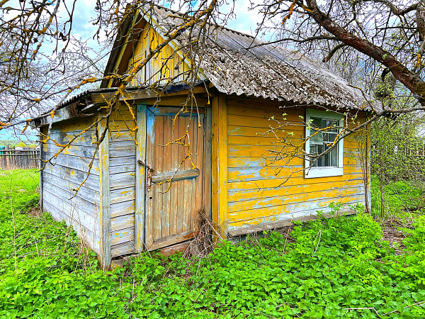 Дом в деревне Дмитровка