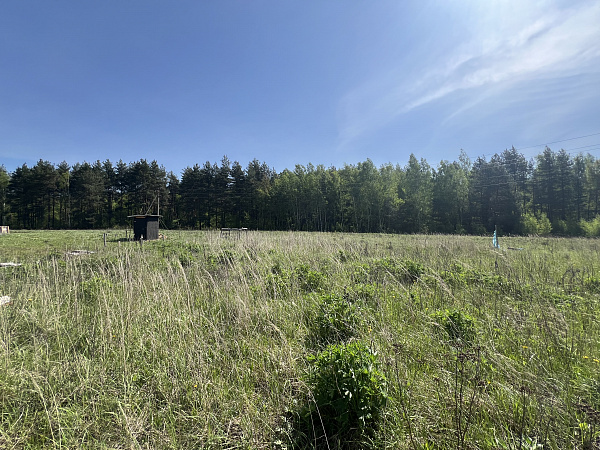 Дом в деревне Батраки
