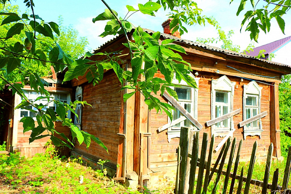 Дом в деревне Трофимово