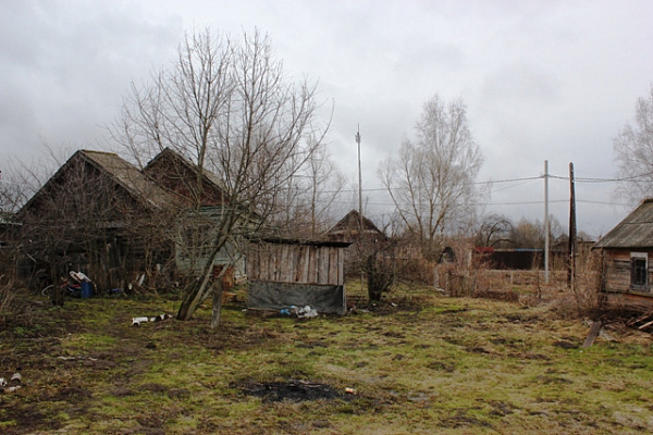 Дом в селе Починки