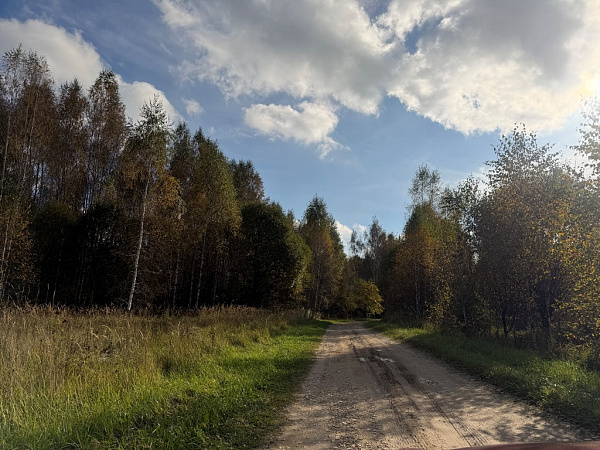 Дача в СНТ Ромашка