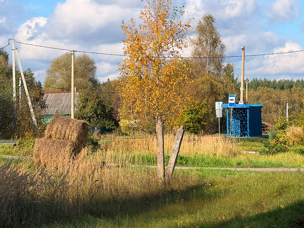 Дом в деревне Василенцево