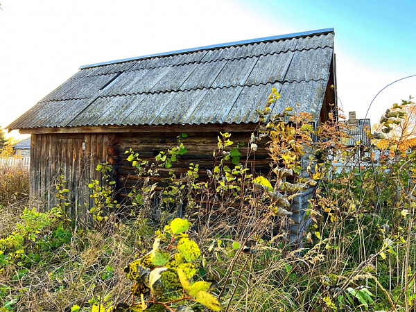 Дом в деревне Алексино-Шатур