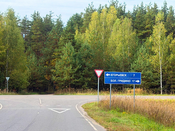 Дом в деревне Костино
