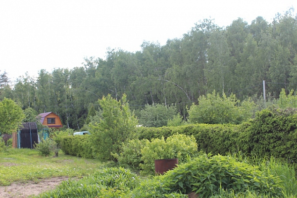 Участок в деревне Щеголево