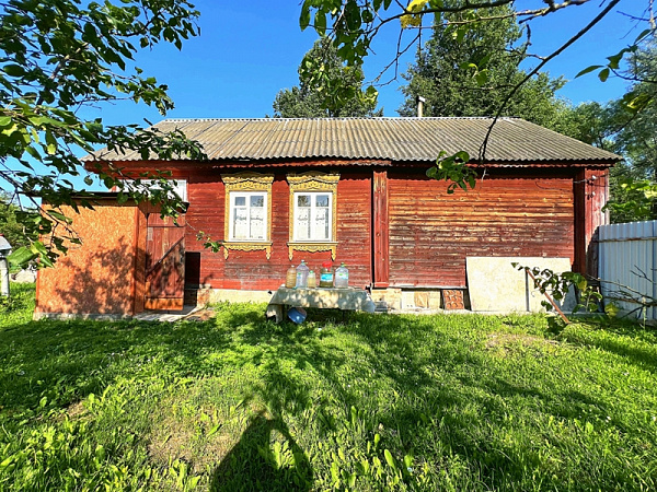 Дом в деревне Большая Ильинка