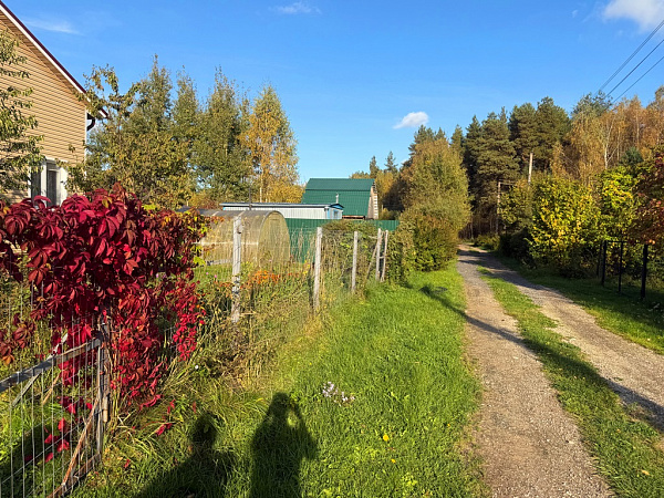 Дача в СНТ Ромашка