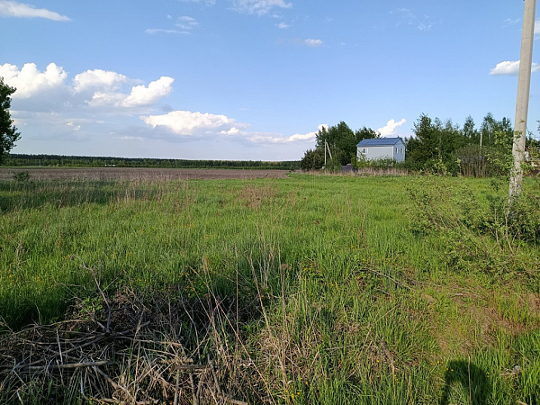Участок в деревне Станинская