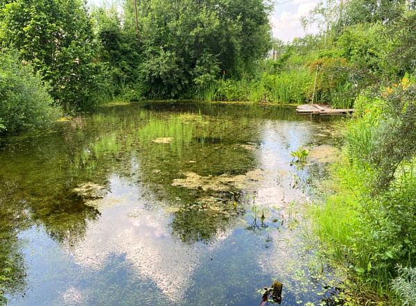 Дача в СНТ Кирпичики