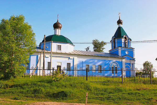 Дом в селе Радовицы