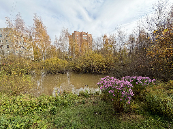3-я квартира на улице Совхозная, дом 39